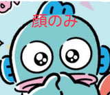7/17　 あぼ　ちさと様　ハンギョドン