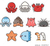 12/9☆　𠮷野 彩花様　海の生き物