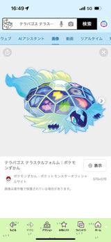 1/12　三角 実香子様　ポケモン