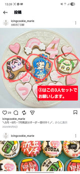 3/9　木村莉里佳様　プリキュア
