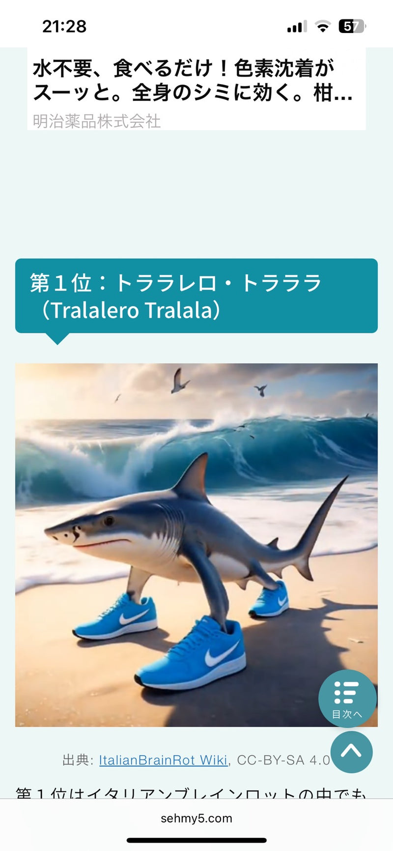 11/4　大越佳奈美様　イタリア