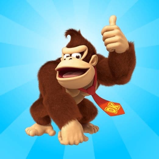 1/6☆　荒井 渚様　ドンキーコング