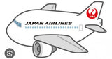 10/5　殿川 吏花様　飛行機
