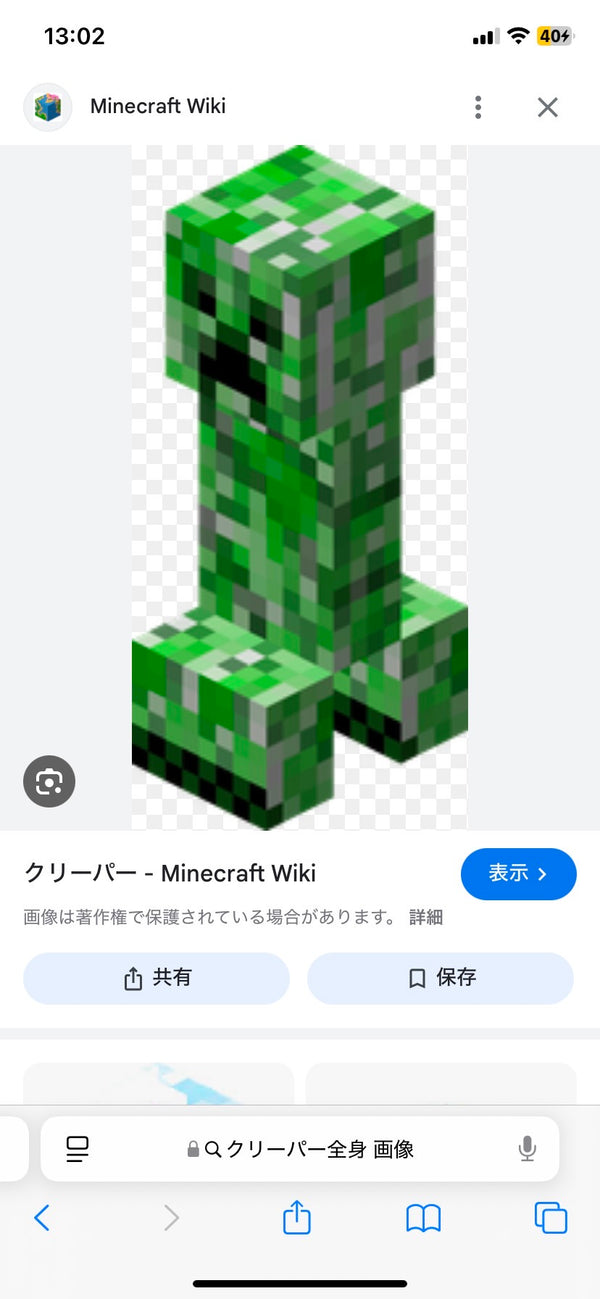 1/20☆　相模理絵様　マイクラ
