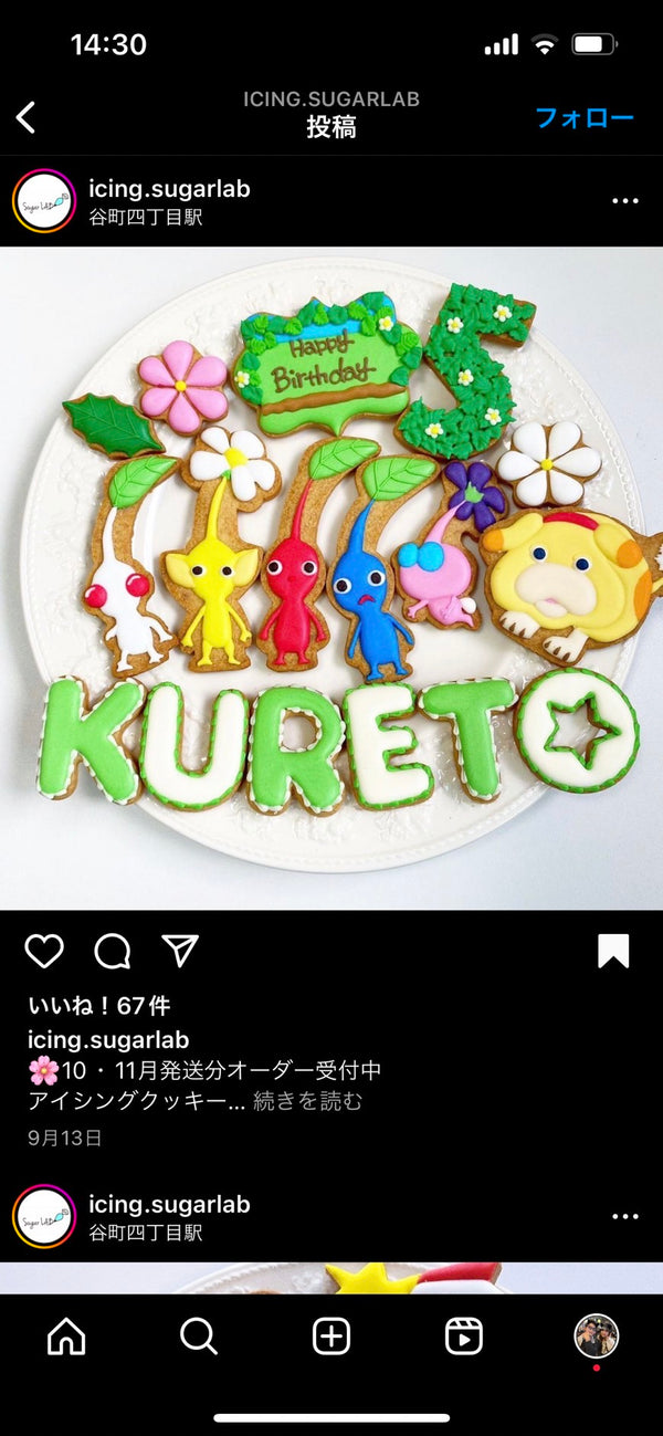 1/8　朝岡奈々様　ピクミン