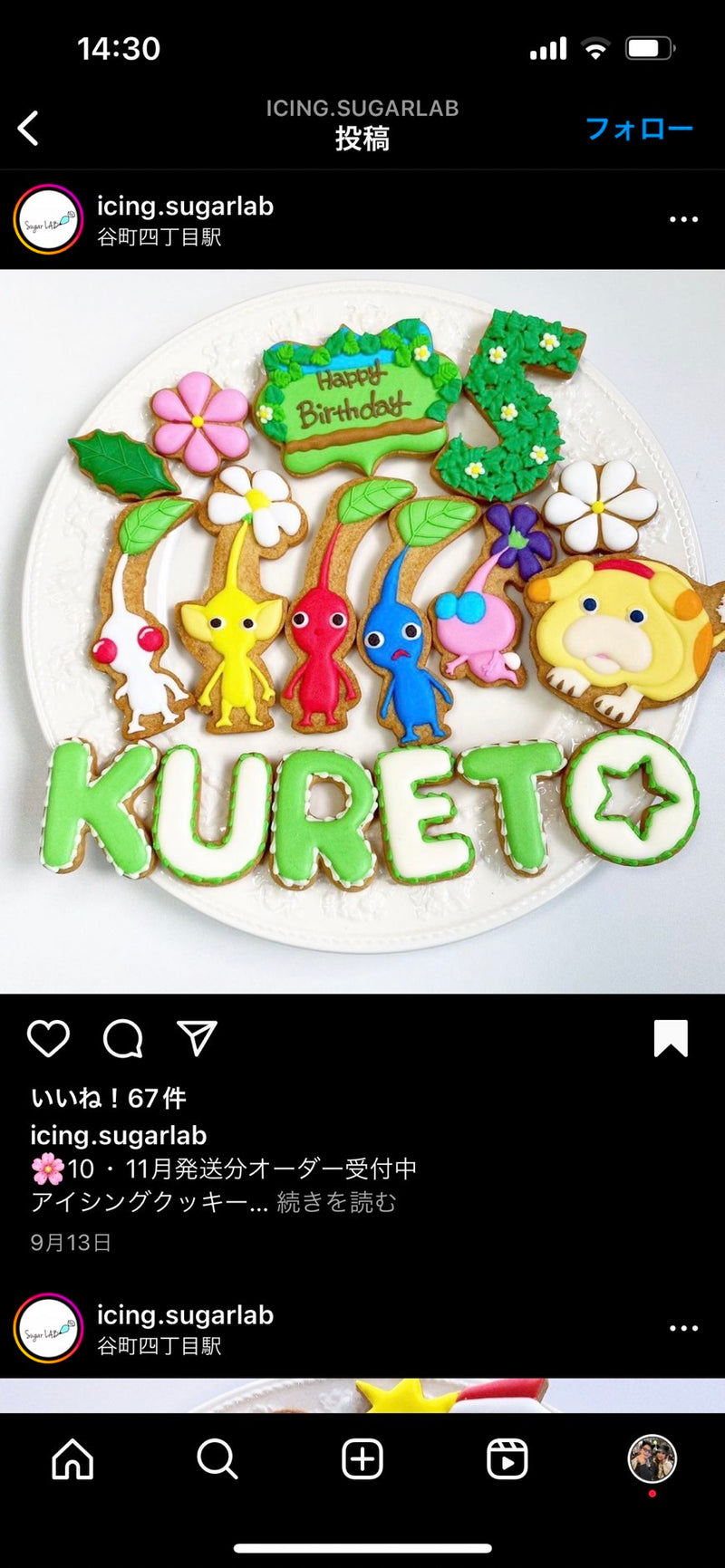 1/8　朝岡奈々様　ピクミン