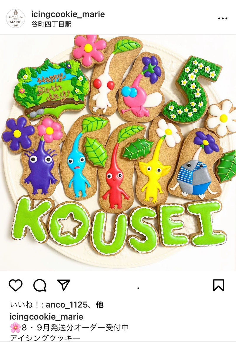 1/29　太田梨乃様　ピクミン