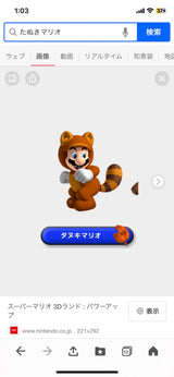 12/11　佐藤布由子様　マリオ