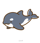 2/2　菊地萌子様　海の生き物