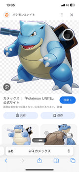 11/17　末野玲奈様　ポケモン