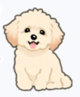 12/2☆　篠田 百花様　色々セット
