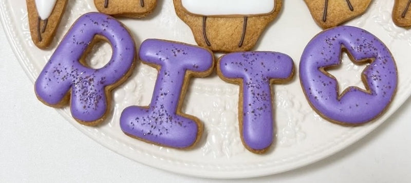 10/16　堀内蛍様　昆虫