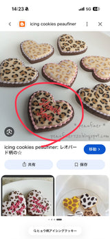 11/9　白澤春佳様　エイプ