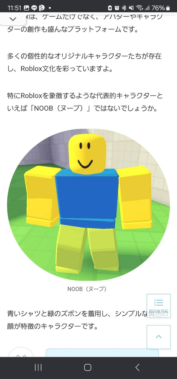 1/20☆　西影絵美様　ロブロックス