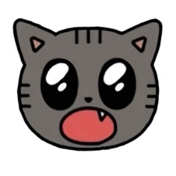 1/27☆　齋藤えりか様　色々セット