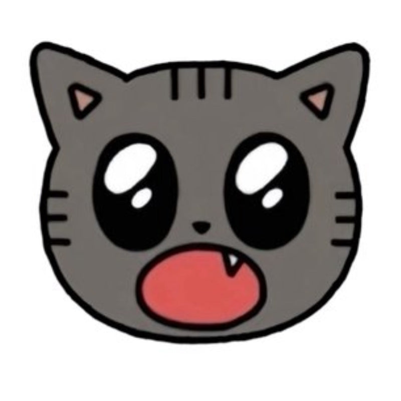 1/27☆　齋藤えりか様　色々セット