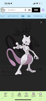 1/12　三角 実香子様　ポケモン