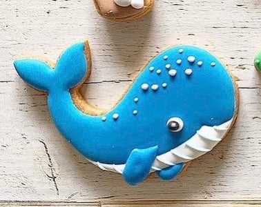 10/16　藤﨑華奈様　海のいきもの