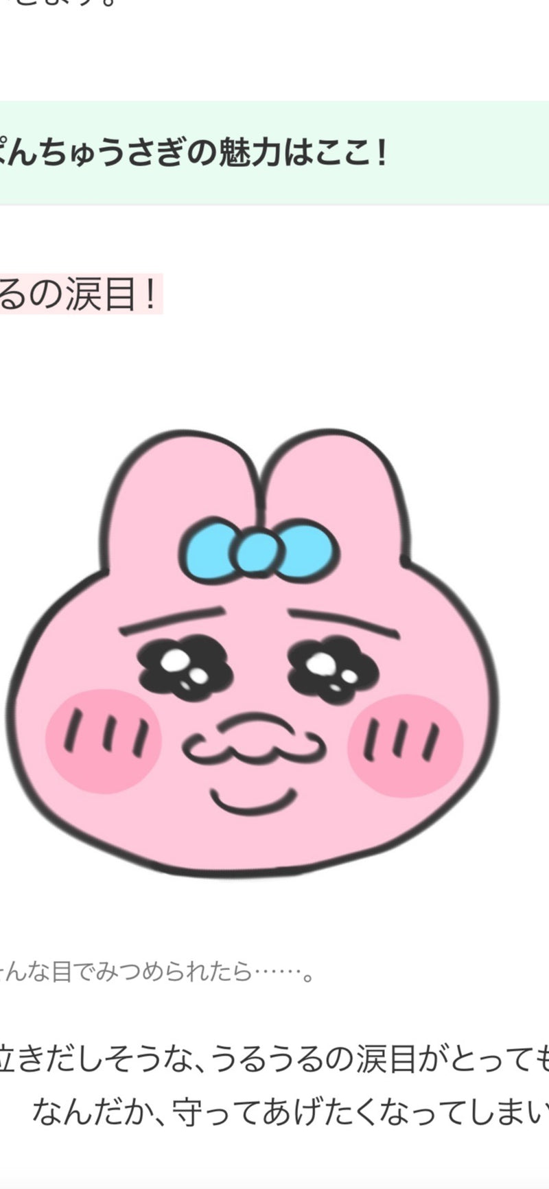 1/8　 原田 愛様　おぱんちゅうさぎ