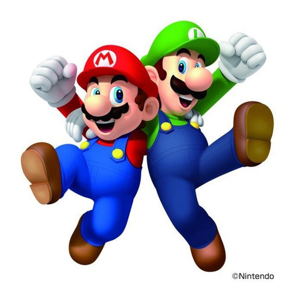 1/29　川端　千明様　マリオ