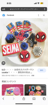 9/18　 二宮璃子様　スパイダーマン