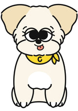 1/29　伊藤　美春様　愛犬