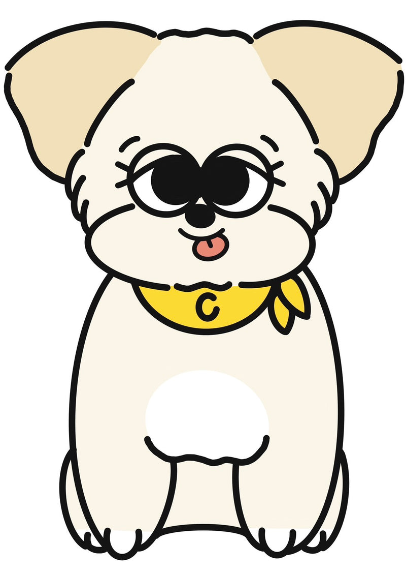 1/29　伊藤　美春様　愛犬