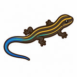 8/31　山﨑慧理様　色々セット