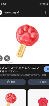 9/16　石川楓佳様　ディズニー