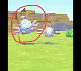 9/7　金子　瑠華様　ポケモン