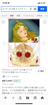1/14☆　金井　睦美様　プリンセス