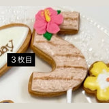 8/12　 杉崎小都羽様　ディズニー