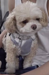12/2☆　篠田 百花様　色々セット