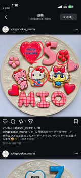 4/6　緒方あかり様　サンリオ