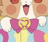 12/29　藤澤明里様　プリキュア
