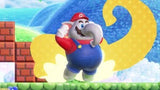 1/15　遠藤杏奈様　マリオ