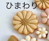 6/3☆　尾崎優希様　しなプシュ