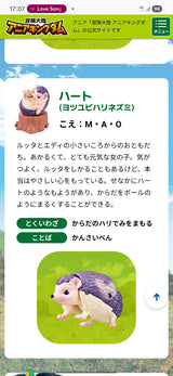 5/11　英さや様　アニアキングダム