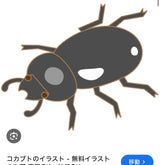 10/16　堀内蛍様　昆虫