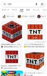 10/20　三田 美保様　マイクラ