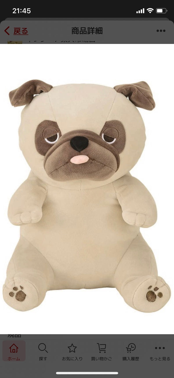 10/16　 野々下　真貴様　パグ