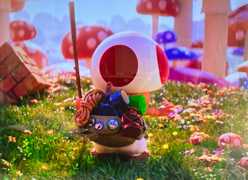 1/29　川端　千明様　マリオ