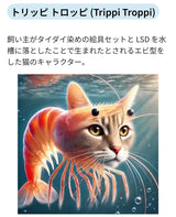 10/14　押方麻衣様　色々セット