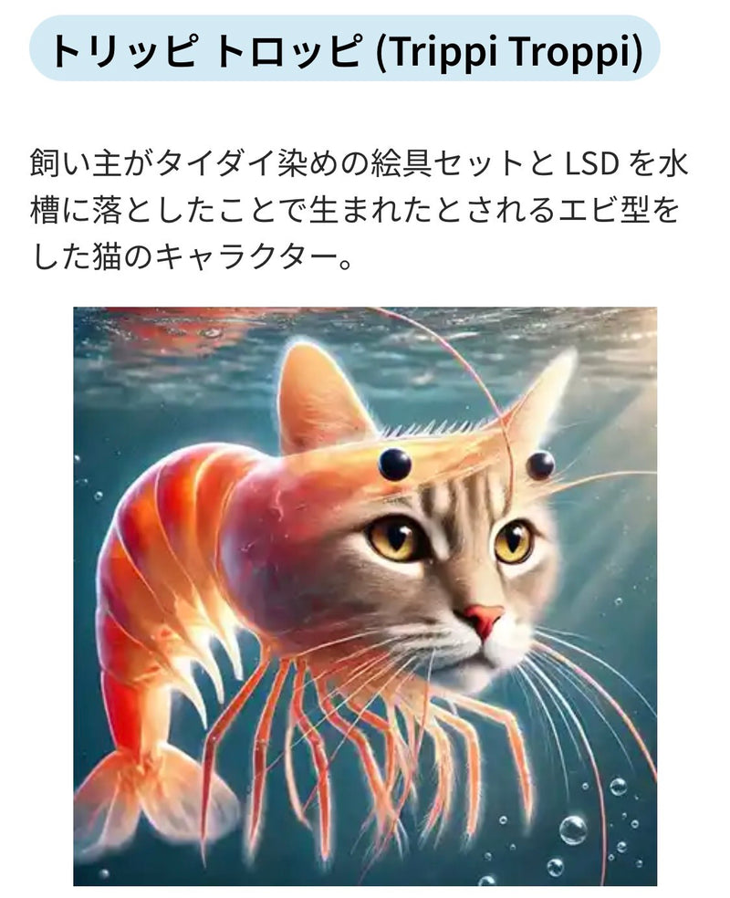 10/14　押方麻衣様　色々セット