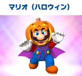10/28☆　大西智也様　マリオ