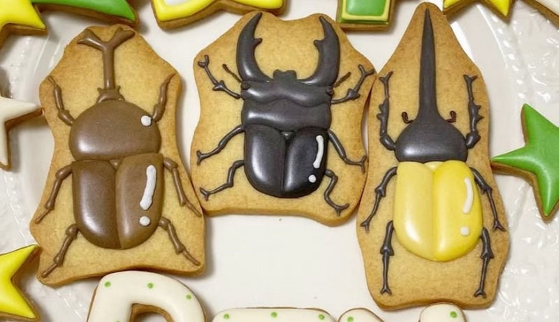 10/16　堀内蛍様　昆虫