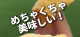 2/19　中嶋美奈様　いろいろセット