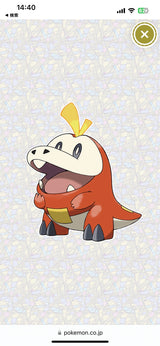 9/11　佐久間　麻衣様　ポケモン