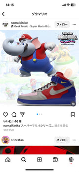 12/11　佐藤布由子様　マリオ