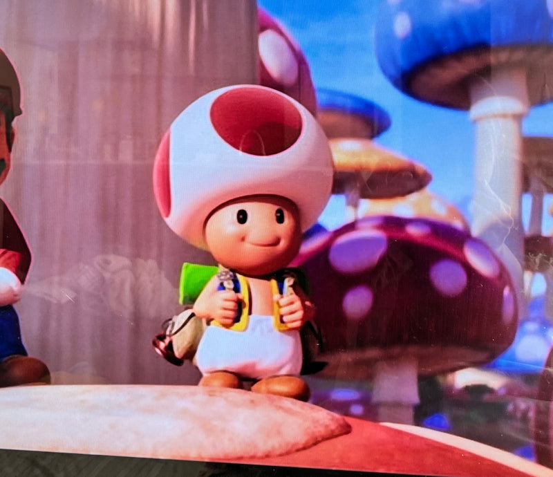 1/29　川端　千明様　マリオ